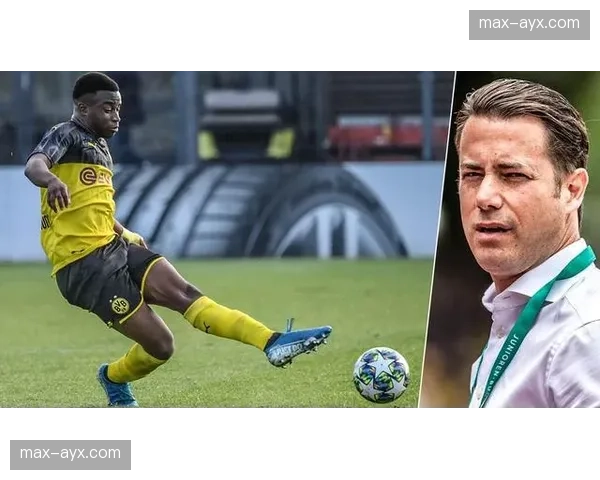 德甲青训体系评估：年轻球员培养路径与成才率分析